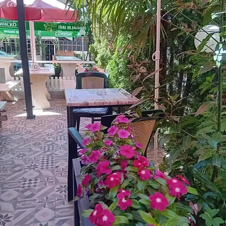 Oasis Pensionat 2*