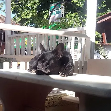 Guest house Oasis